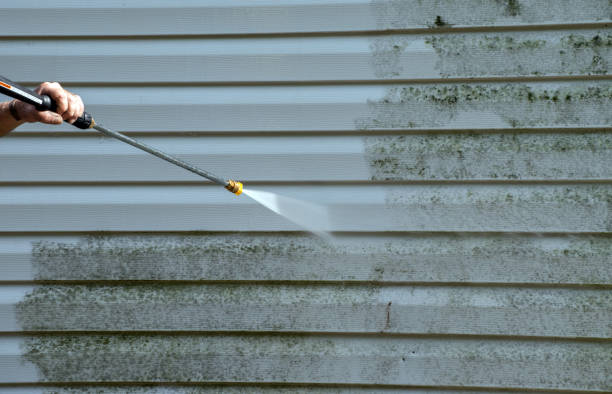 Best Fence Pressure Washing  in Chigan Center, MI