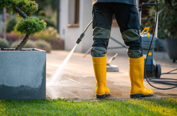 Best House Pressure Washing  in Chigan Center, MI